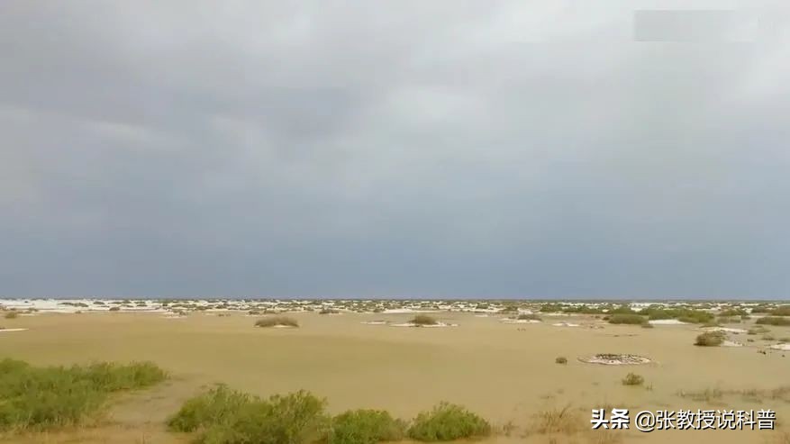 全球变暖，塔克拉玛干沙漠遭遇罕见洪水，未来会变成绿洲吗？