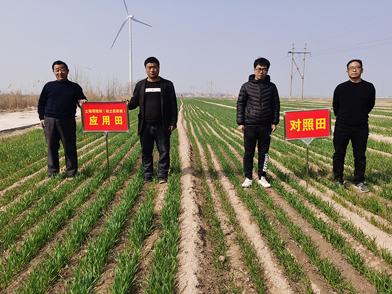 土壤調理劑松土促根劑作用于土壤，重點表現于耕層環境及作物根系