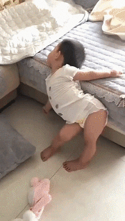 搞笑gif神评:女友首次开车上路,让人操碎了心