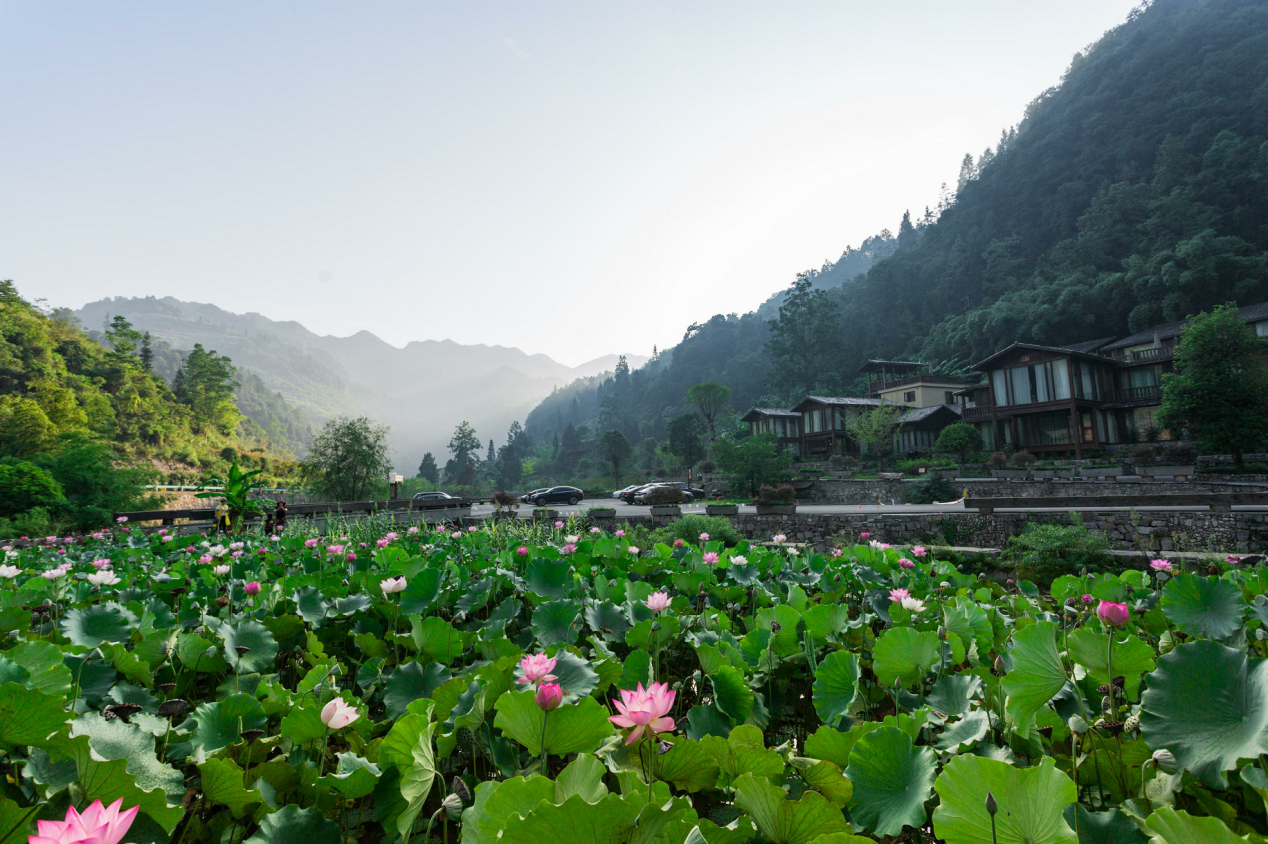 电影《峰爆》上映 十二背后旅游区官方拍摄地
