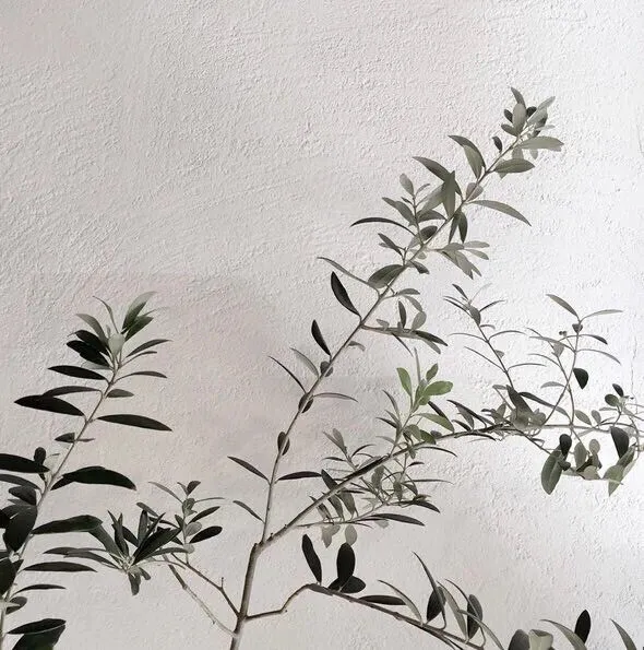 朋友圈背景圖丨心中有暖 何懼人生荒涼