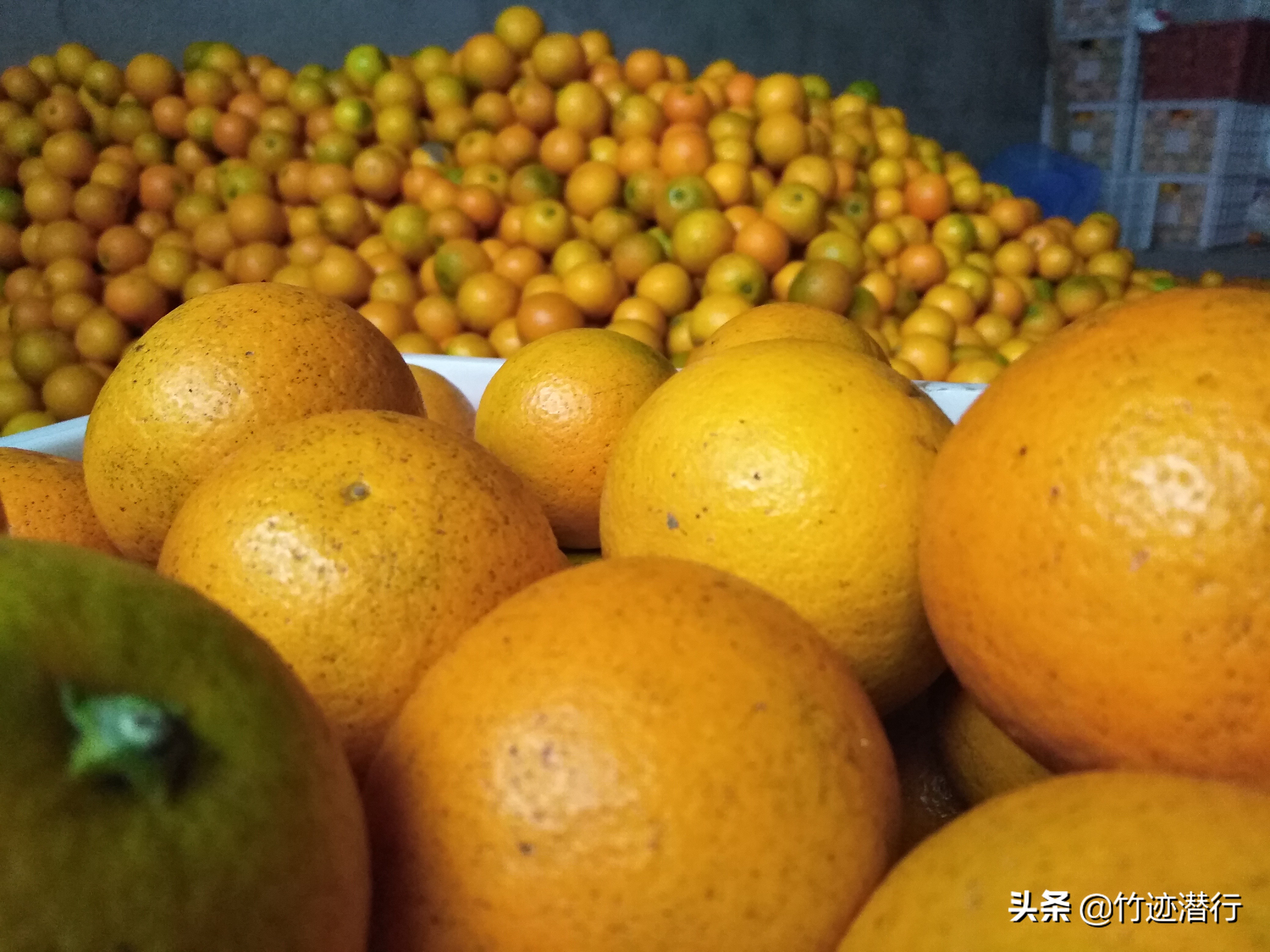 登錄查看大圖