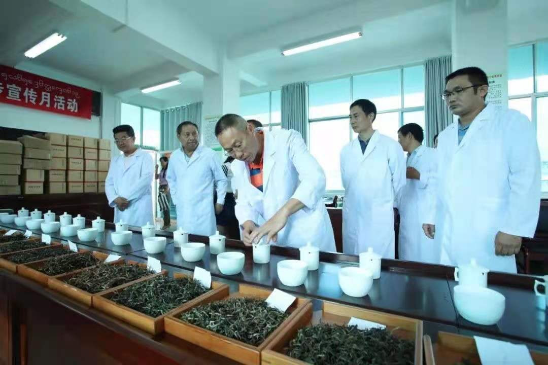 中国衡水首届生态茶王争霸赛，开始征集参赛茶样，欢迎参赛