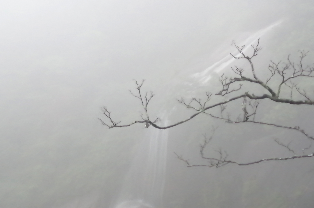 我去过两次三清山，差别太大了（附攻略）