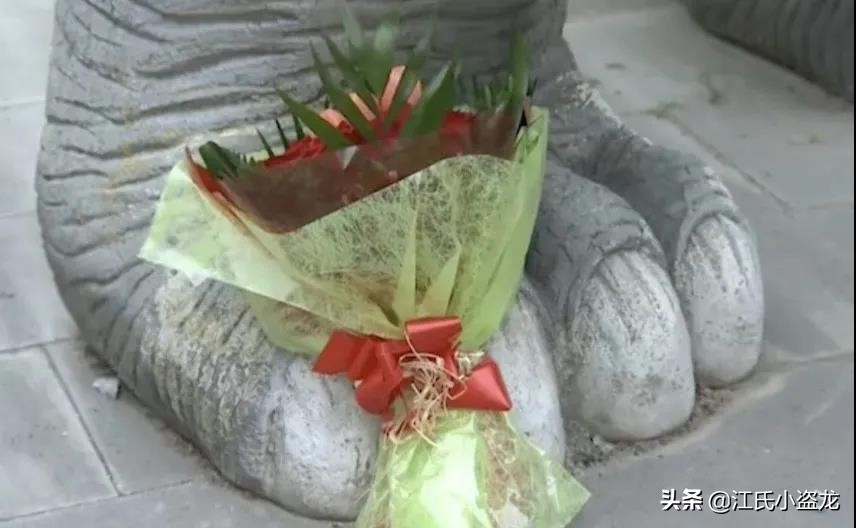 西班牙恐龍殺人？真相來了