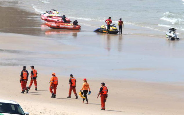 澳洲海滩出现全球最毒生物！一碰致命！已有1