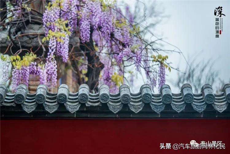 「泰安」中华泰山（含上乘观光车）一日游