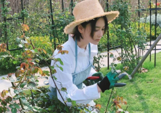 Zhang Xin grants: Cast off controversy to become army elder brother's wife, easy life of a small family is admired nowadays evil spirit other people, 