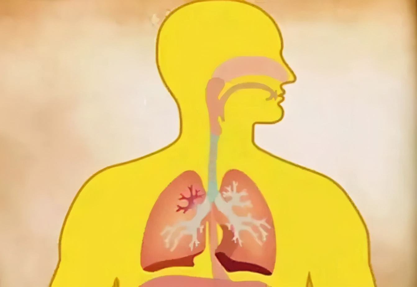 身體有這些表現，說明該好好�清理�了！ 用對天然食物，給身體做個�大掃除�