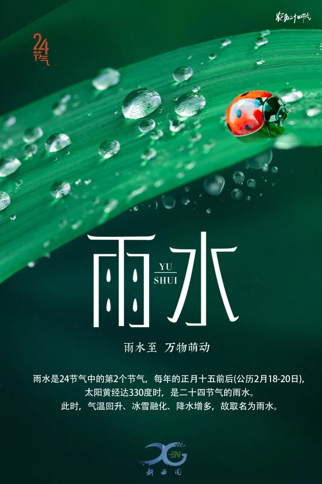 雨水|好雨知时节