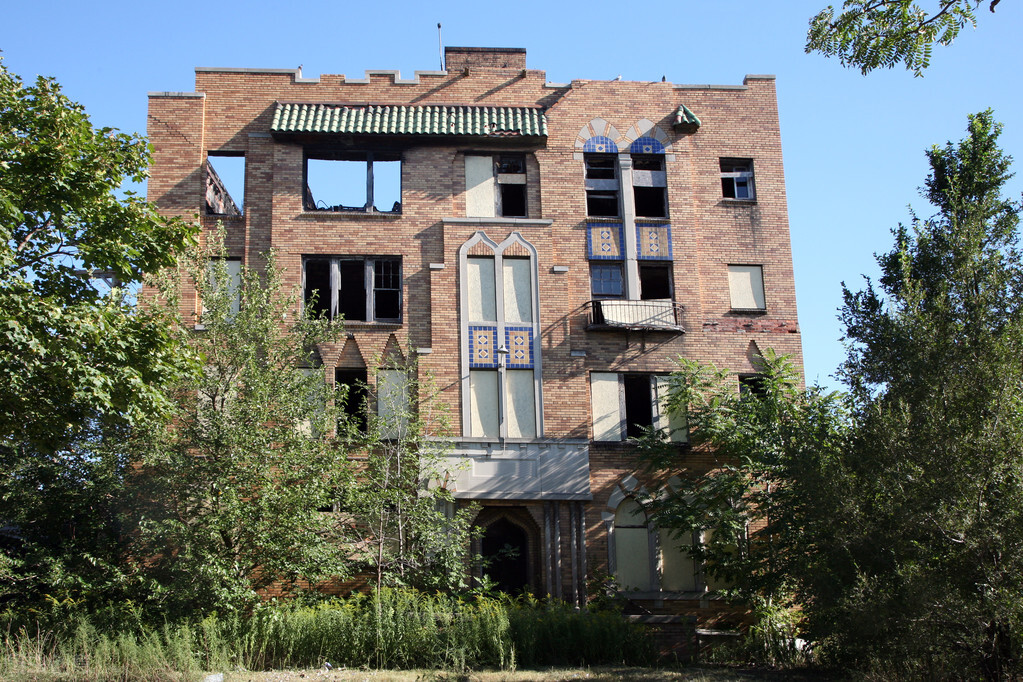 紅火蟻入侵中國12個省，它是從哪兒來的？紅火蟻真的勢不可擋嗎？