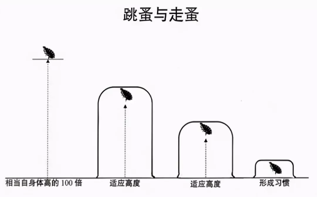 惊人的三大强者定律：螃蟹定律，蘑菇定律，跳蚤定律