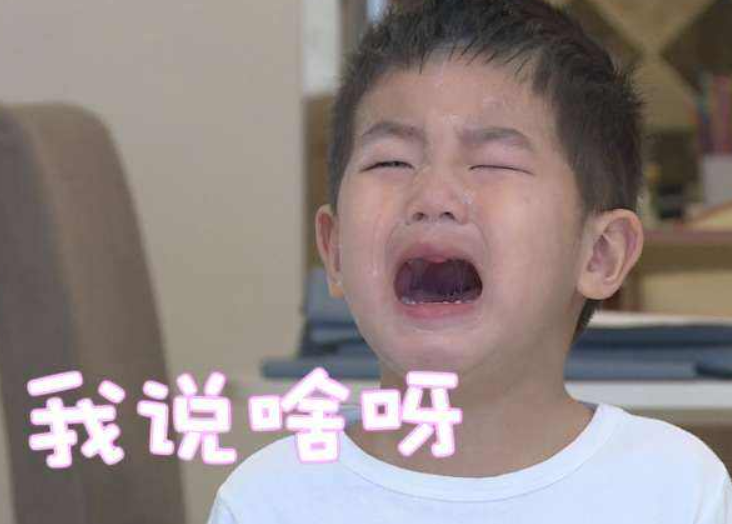 安吉照书养，小鱼儿照猪养，6年过去了，两兄弟的差距一目了然