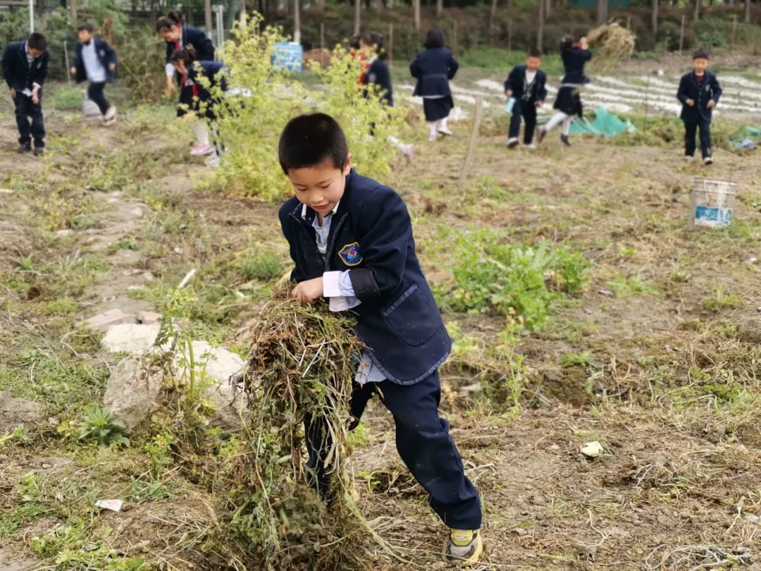 双流区实验小学外国语学校丨最美人间四月天 幸福农场齐生长