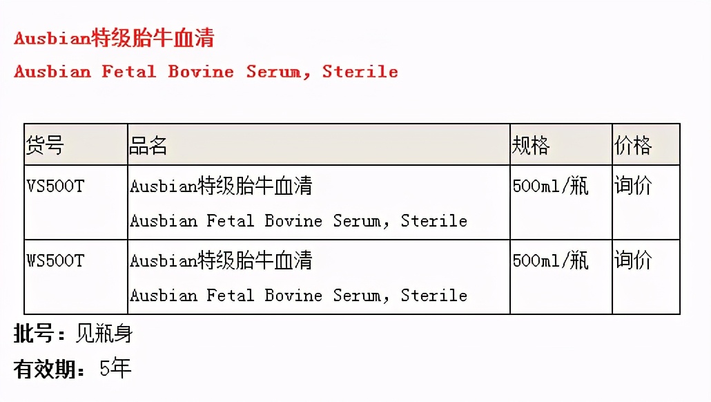 成体干细胞稳态和衰老昼夜节律调节机制