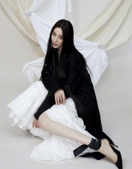 重回巅峰？范冰冰以公益大使身份登杂志封面，