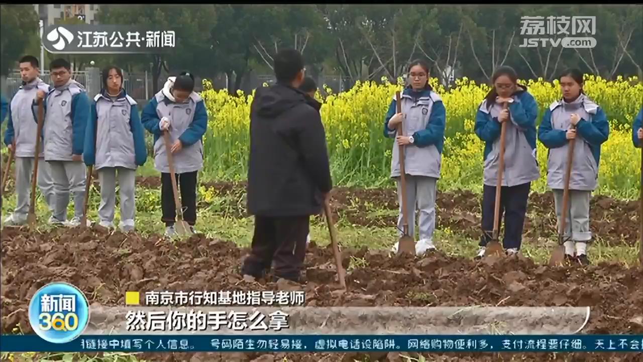 下地制山芋垄 体验农村生活 点赞南京中学生的 种地课 荔枝新闻