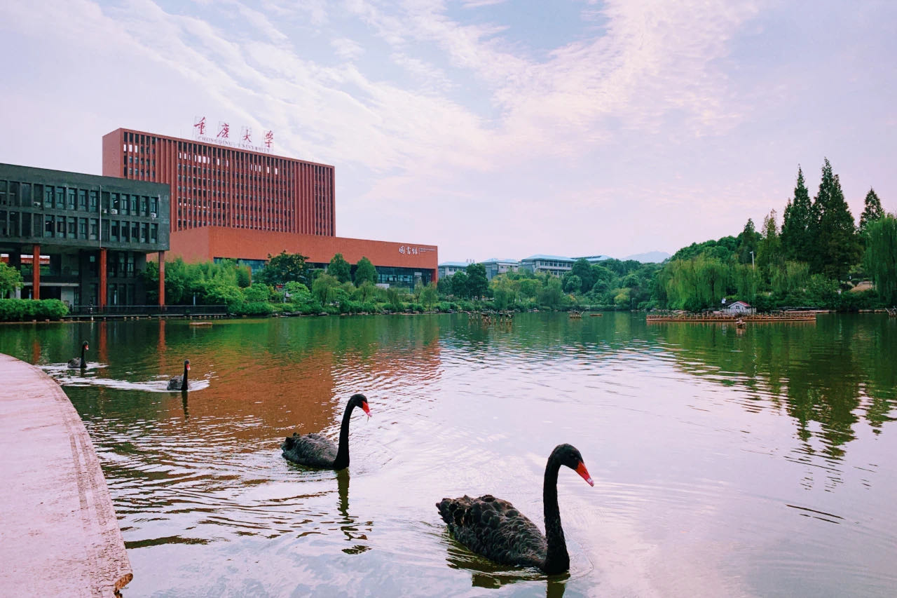 重庆考生最喜欢报考哪里的大学？本地很吃香，成都是第二优选