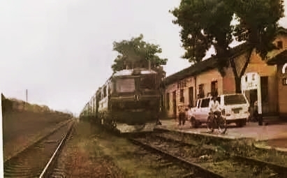 建国后大案纪实：中国最终一个女飞贼，1971年在山西被击毙