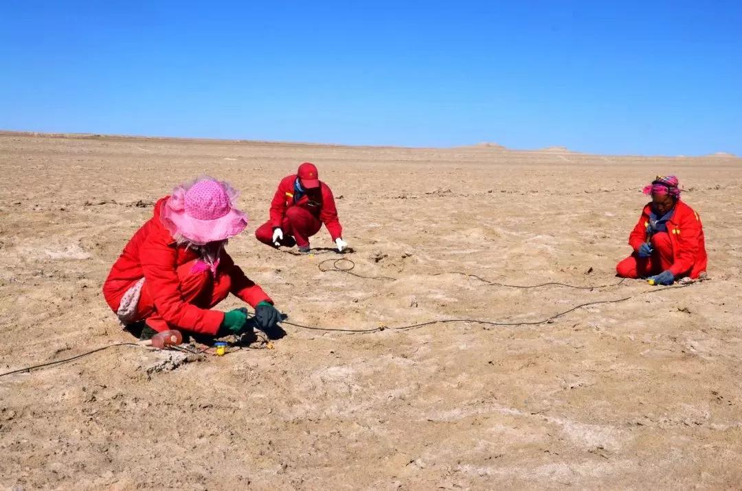 青海石油会战 随着隆的一声炮响 三个年轻的生命