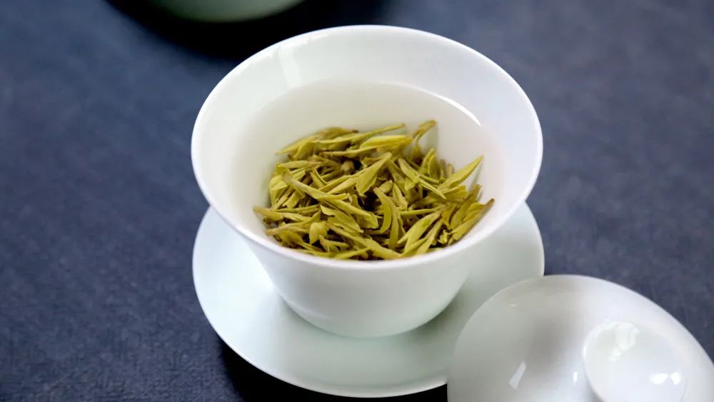 什么茶好买？东家为你揭秘九大核心产区优质春茶