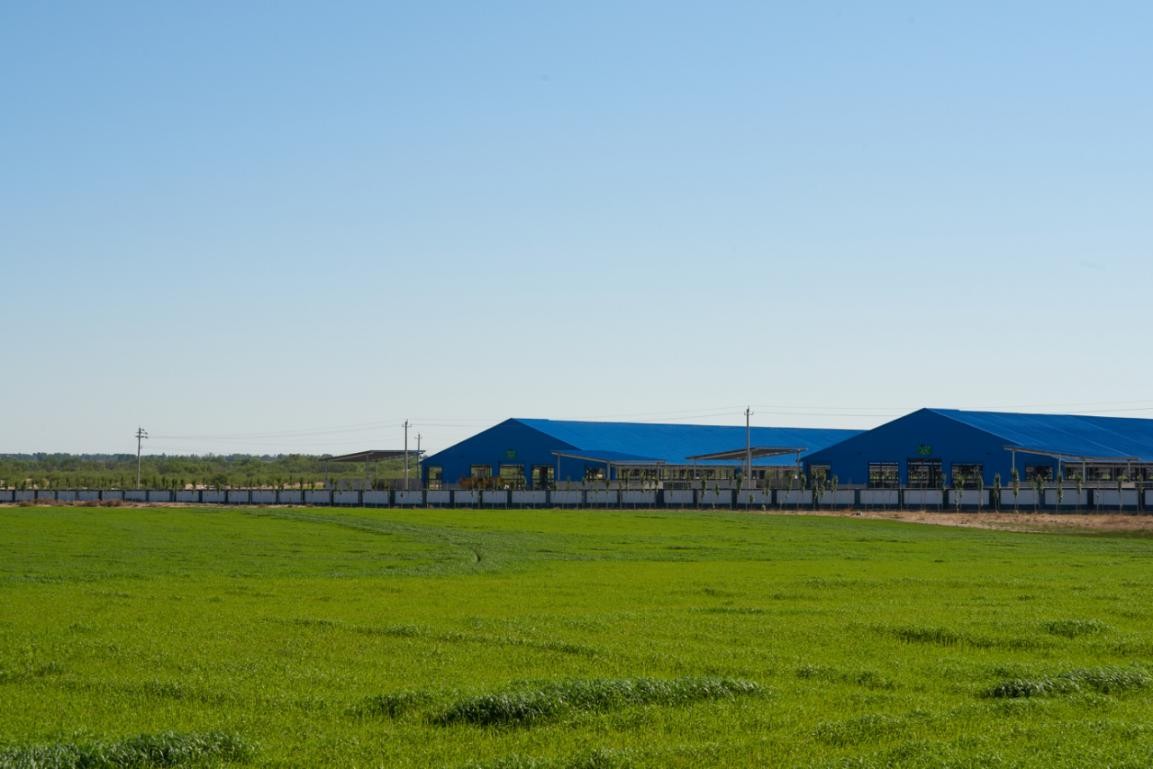 战略入股澳亚牧场北海牧场加速行业生态布局