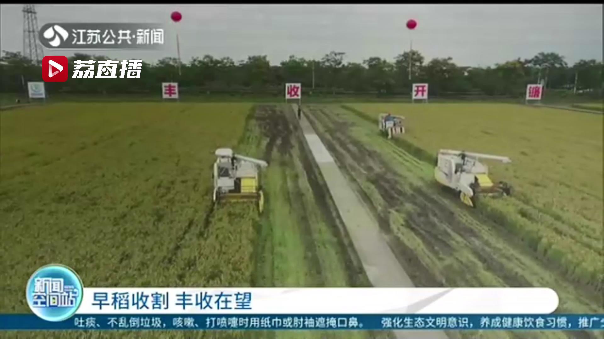 丰收在望！江苏多地早熟品种水稻开镰收割