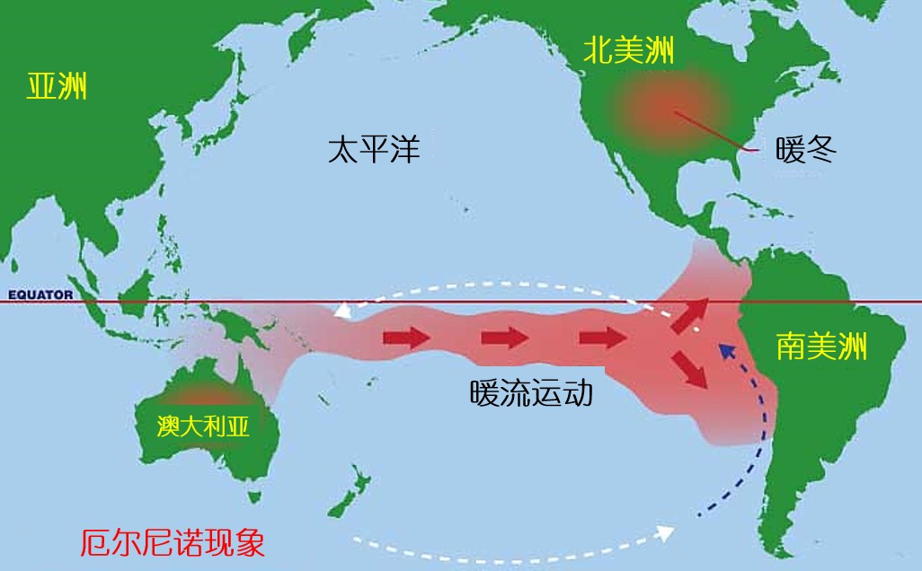 秘鲁鳀鱼：“鱼粉大王”与中国市场的“博弈”