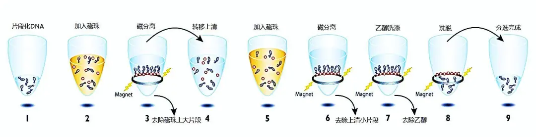 磁珠知识总结大全：小东西也有大能耐