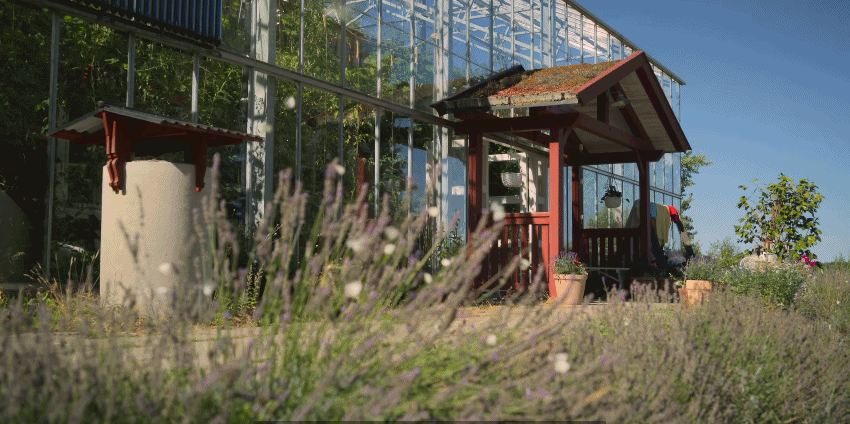 瑞典夫妻花12年为自闭症儿子建了座玻璃城堡：所