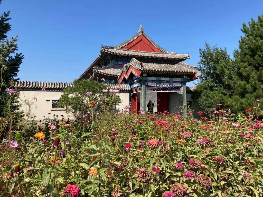 长春—通辽金秋首发团畅玩第二天：逛孝庄园、吃烧麦宴...