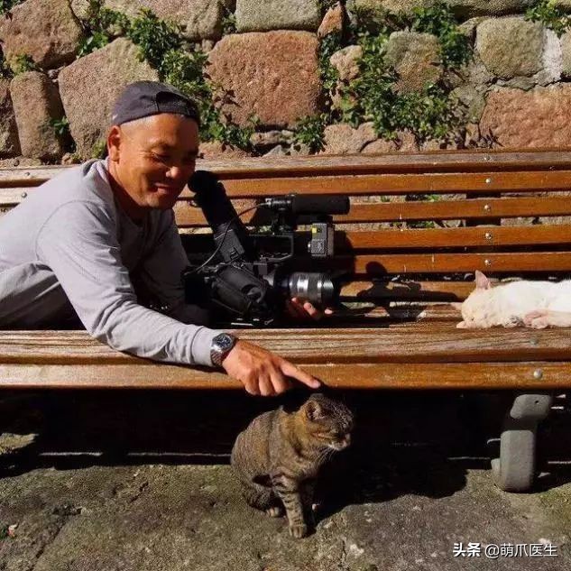 你家猫喜欢看电视吗 宠物 蛋蛋赞