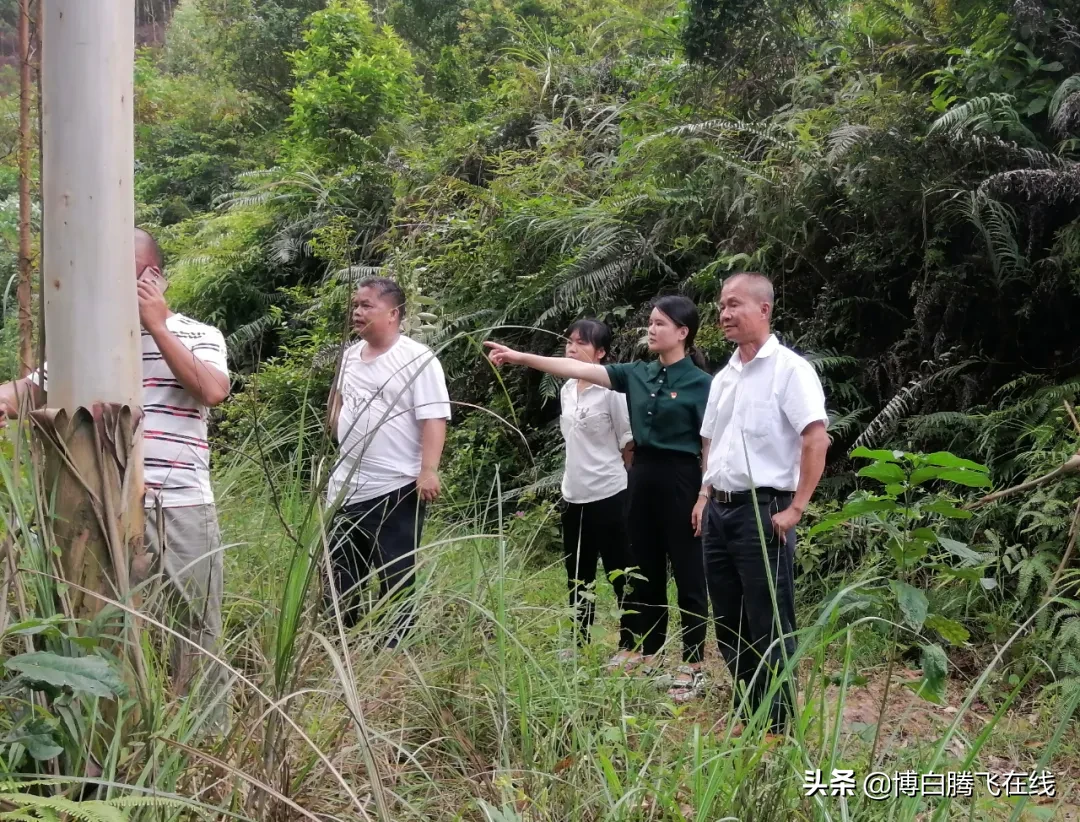 榜样！博白90后最美退役军人李春燕变身村支书，干劲足得民心