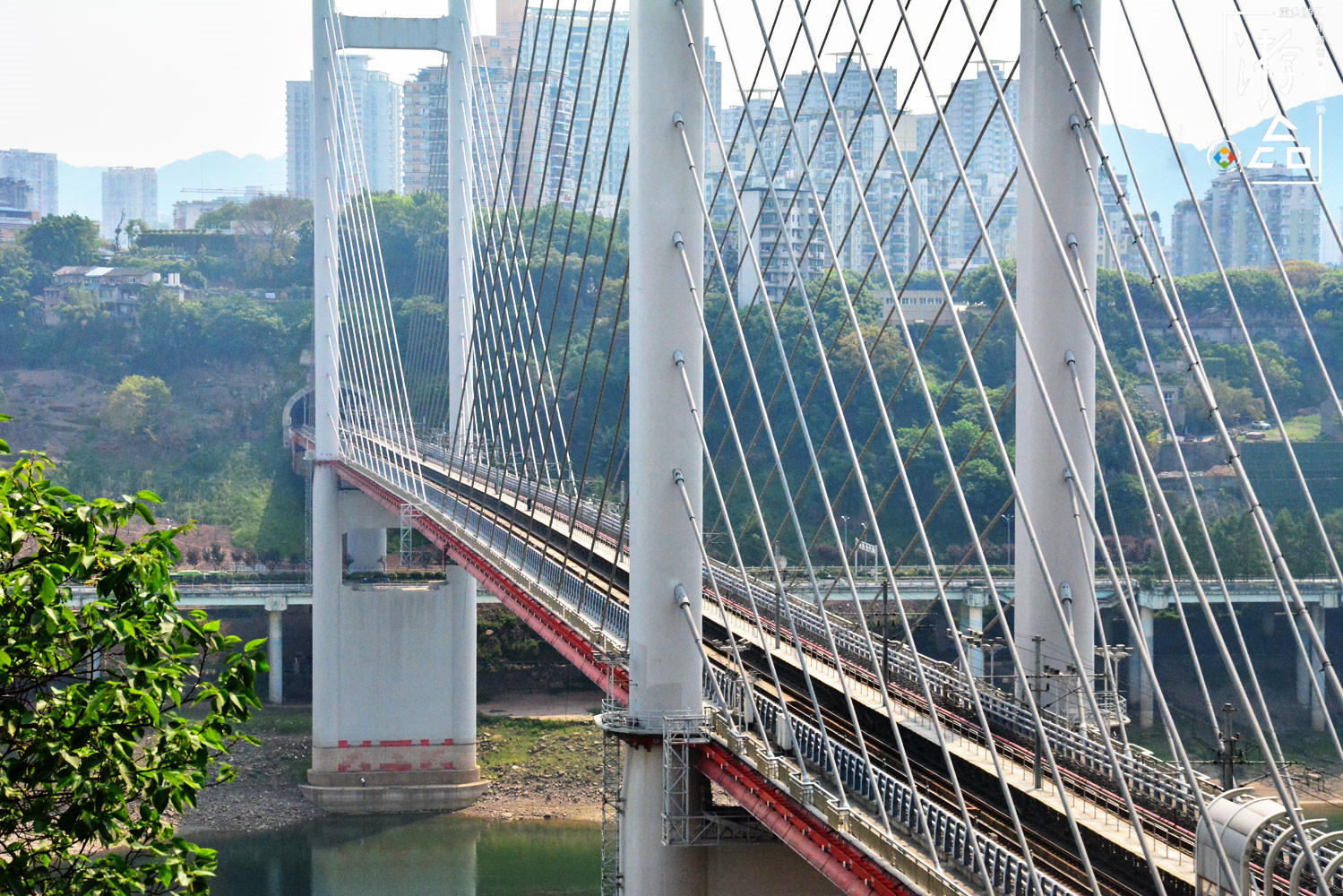 重庆主城最“低调”的轨道桥：高家花园大桥，连接沙坪坝与江北