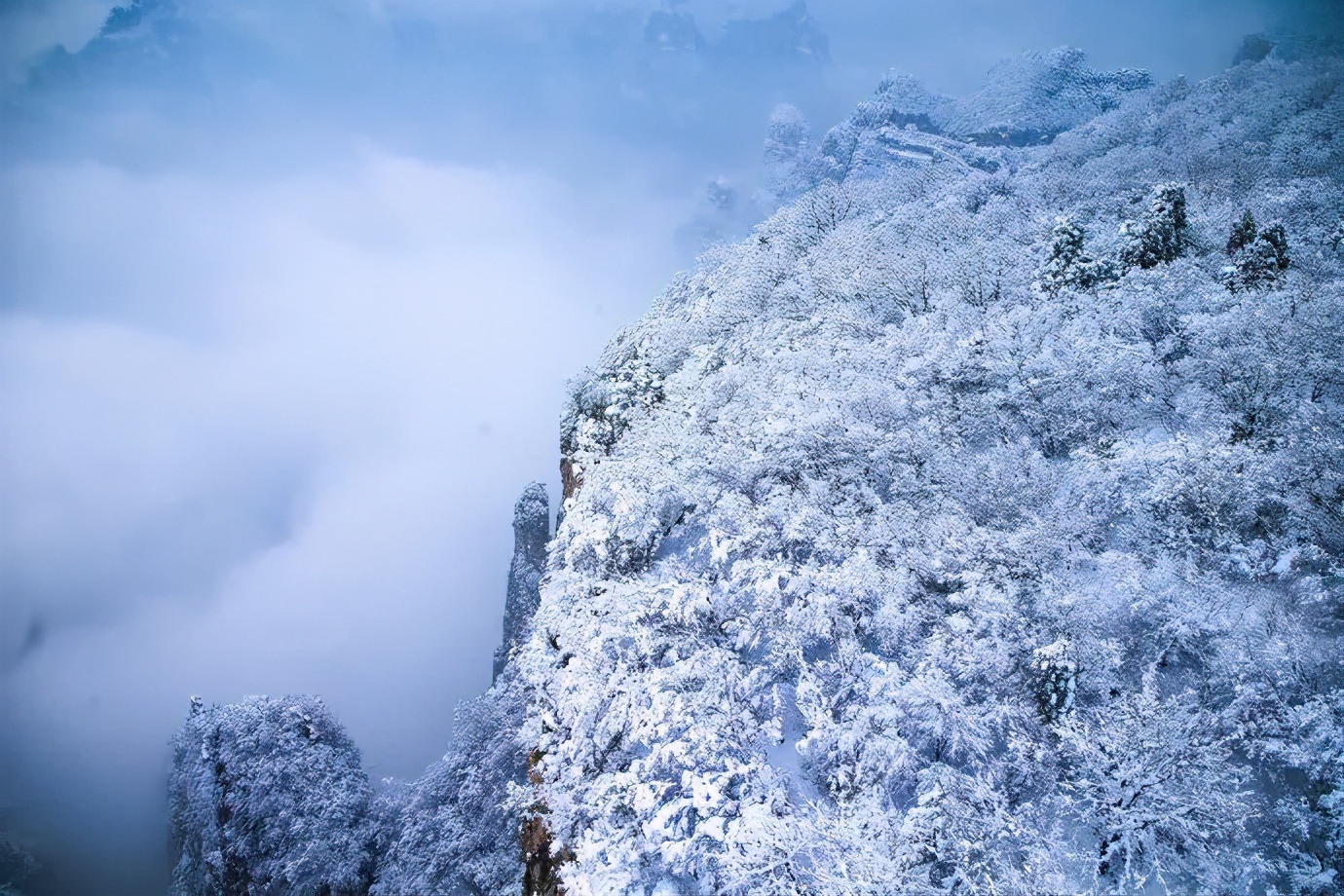 美到爆！云台山迎春日“桃花雪”！雪山云海宛若仙境