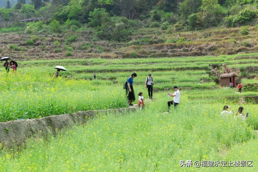 阳春三月 · 永定初溪土楼赴一场春之约