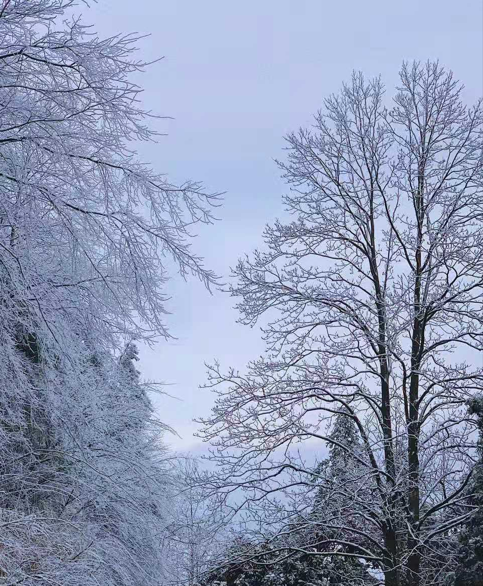 寧波賞雪攻略，這里有絕美壯觀的霧凇，比霧凇島的霧凇還要美百倍