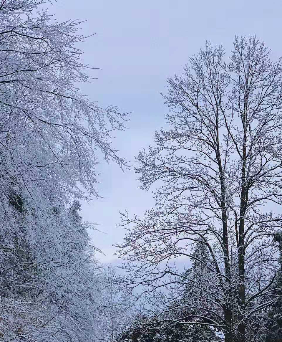 宁波赏雪攻略，这里有绝美壮观的雾凇，比雾凇岛的雾凇还要美百倍