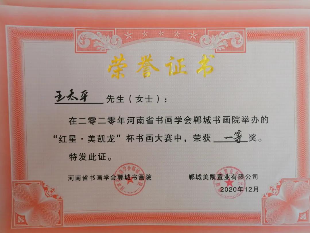 郸城县书画院首届”红星·美凯龙”杯书画大赛颁奖仪式举行