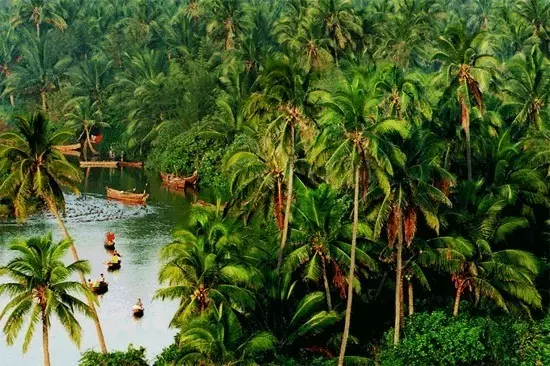 另一个角度看海南！重磅经济政策下的海南，那