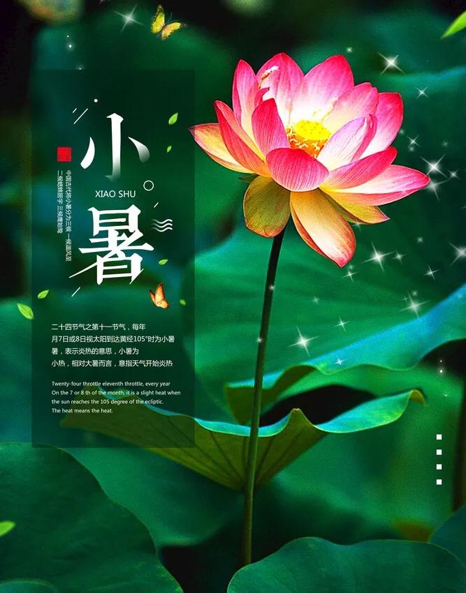 七绝《小暑》-第1张图片-非凡网