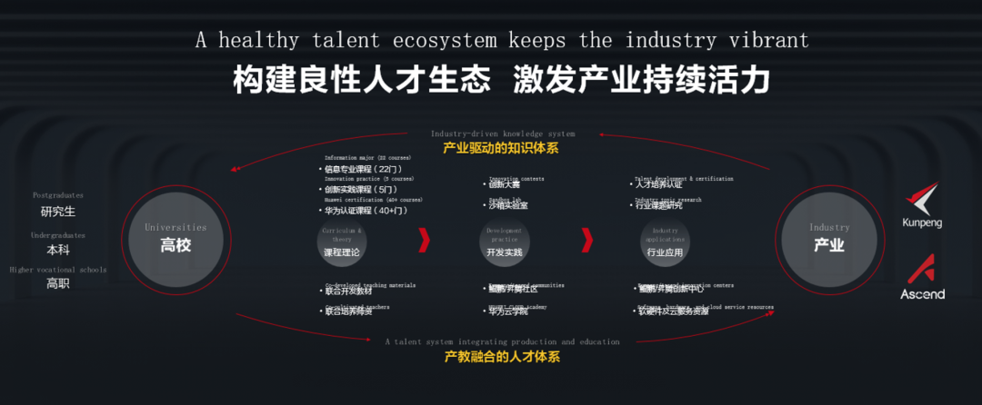 华为昇腾的另一面