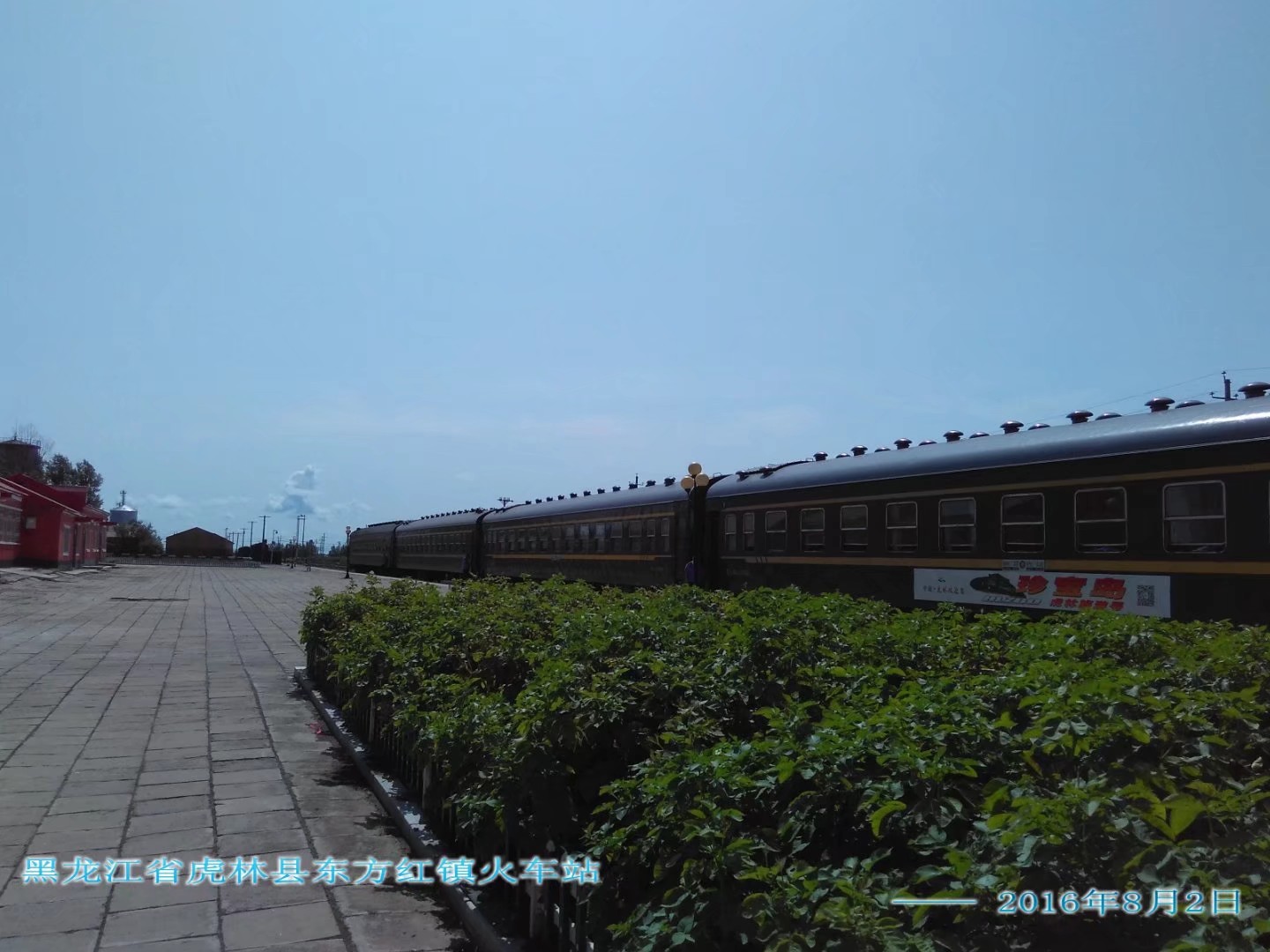 说说黑龙江省的东方红 ……