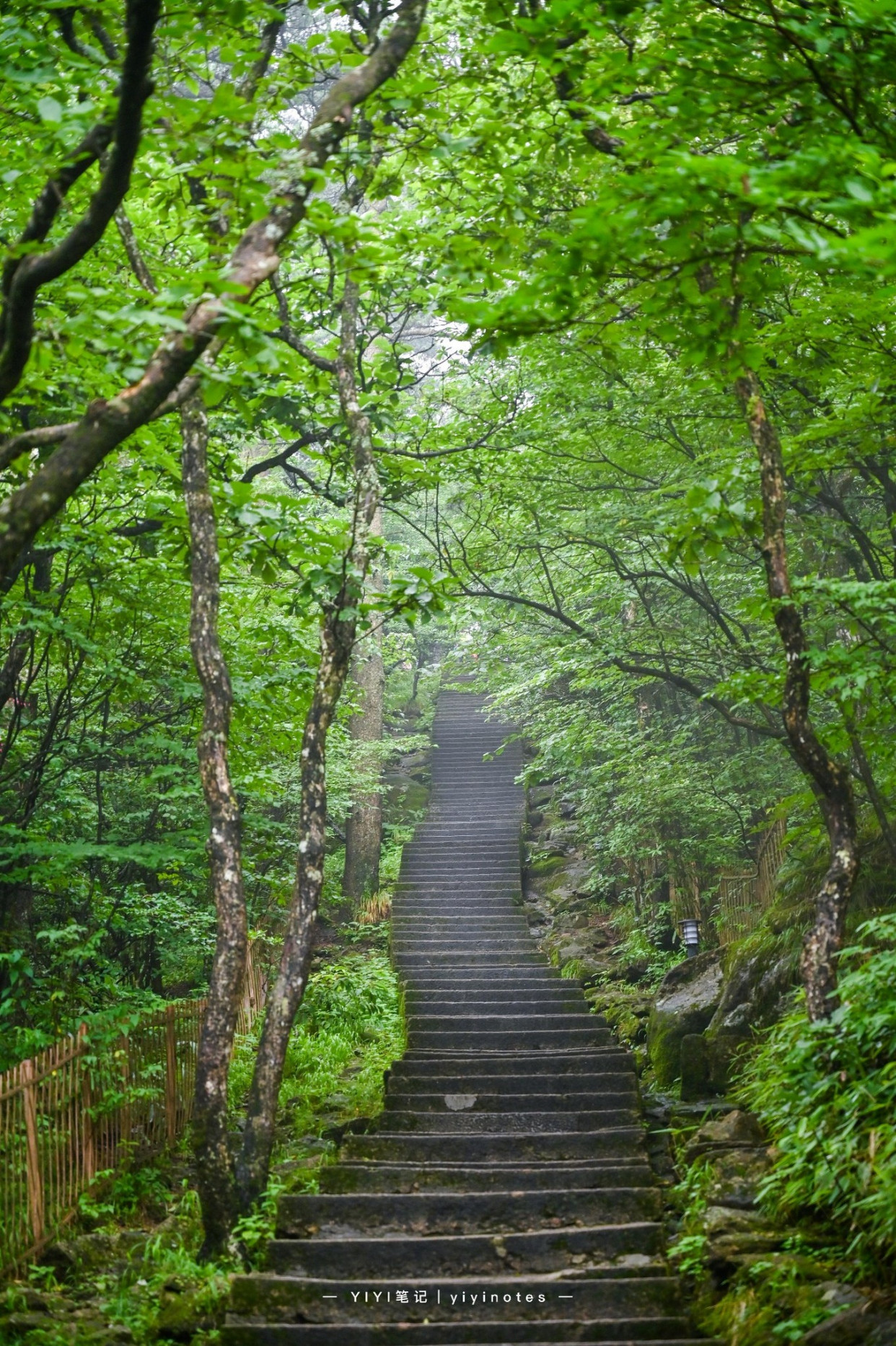 黄山标志性奇石，大自然的鬼斧神工，87年《红楼梦》这里取景