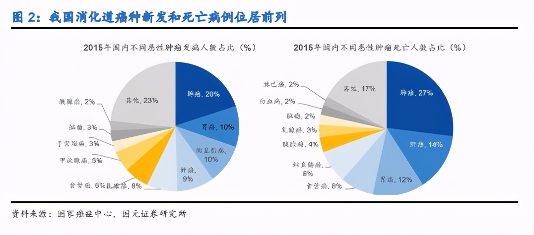 内镜诊疗器械行业深度报告：聚焦高端，着眼全球