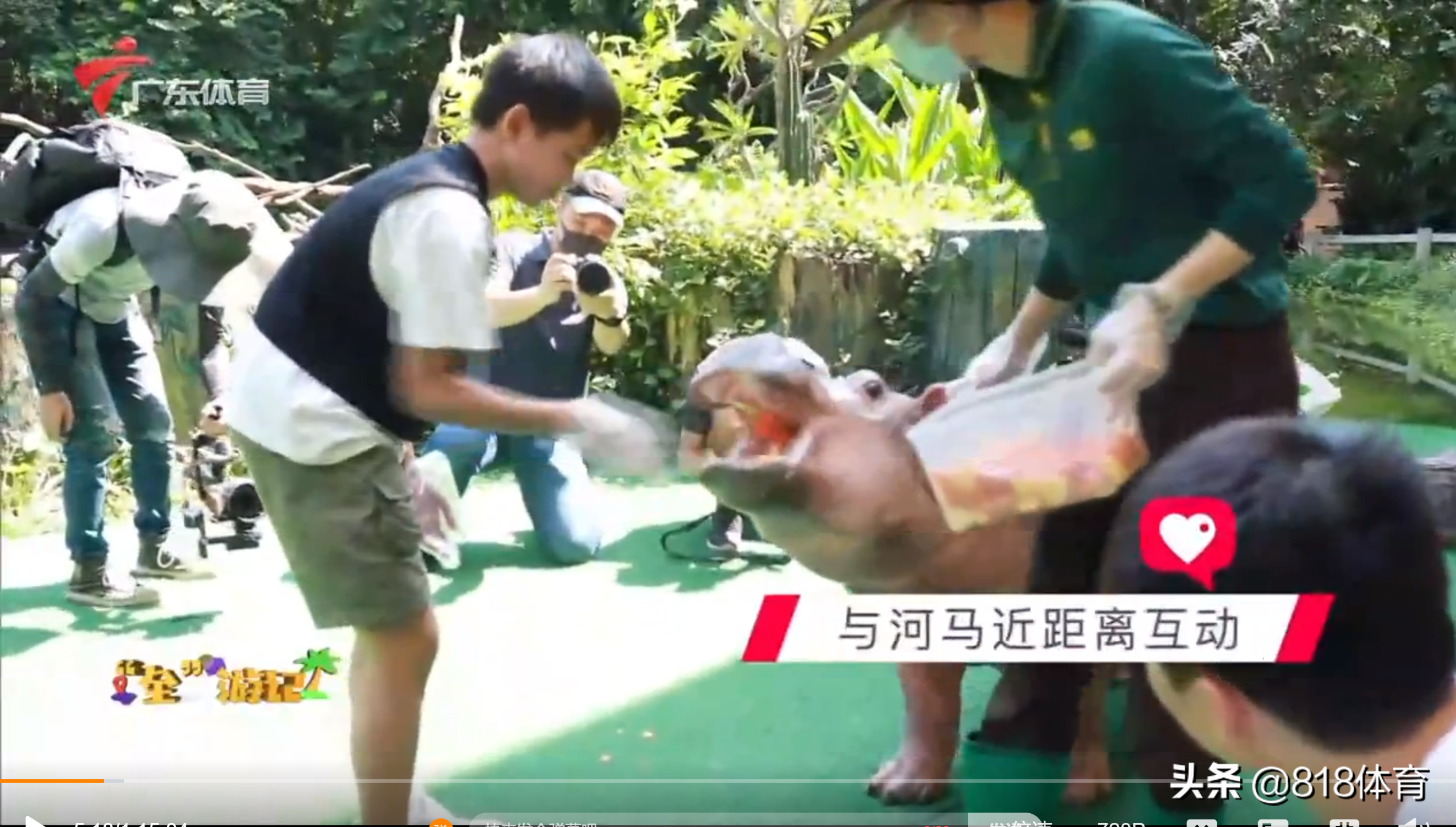 笑喷！全红婵喂大河马吃胡萝卜吓得一抖，给小河马洗澡搓泡泡萌翻
