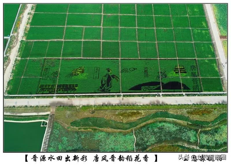 晋源区旅游收入要突破300亿,还要打造三个经济带,六个产业园