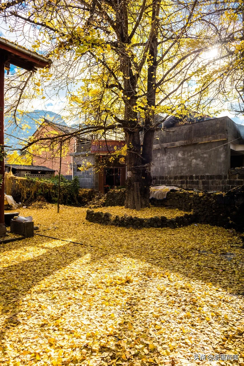 10 ancient towns with beautiful autumn colors, if you are tired, go to stay for a few days