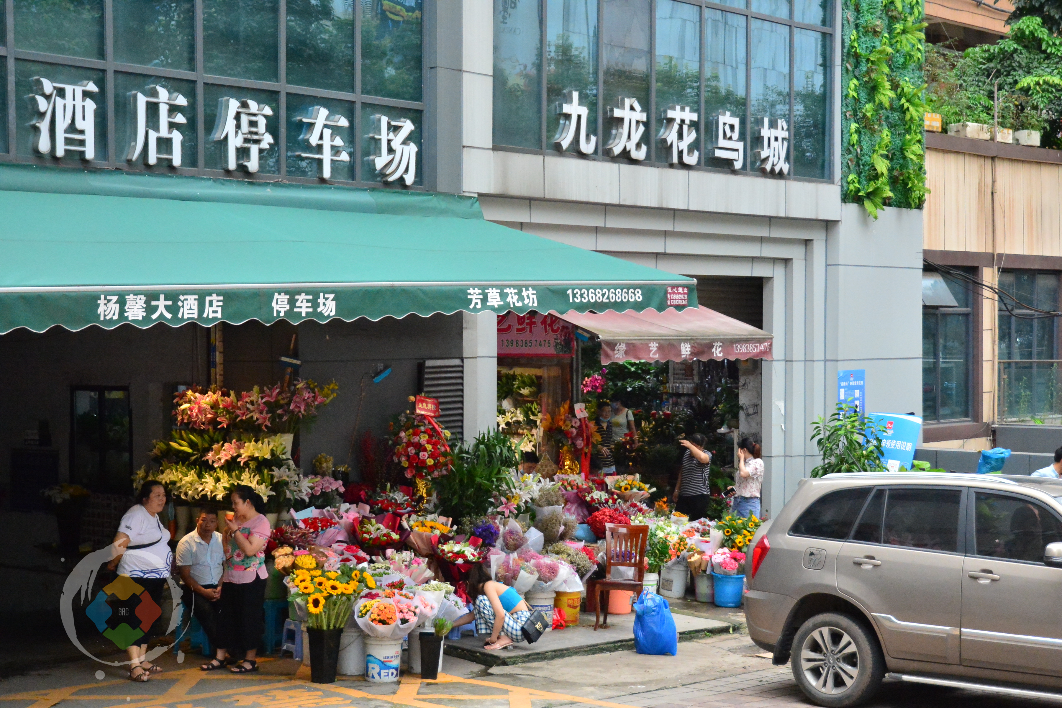 重庆杨家坪花鸟城避坑指南：鲜切花绝不能买，小型动植物品相最好