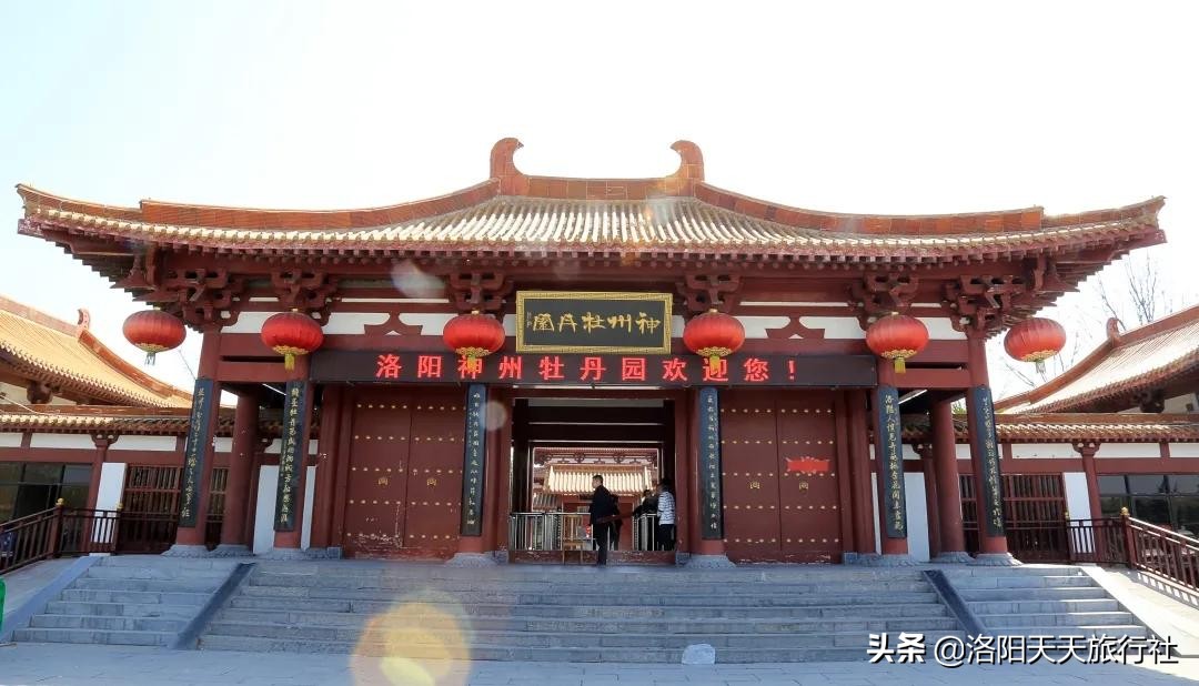 洛阳五一花情资讯，这几个地方还有牡丹花看，抓紧啦